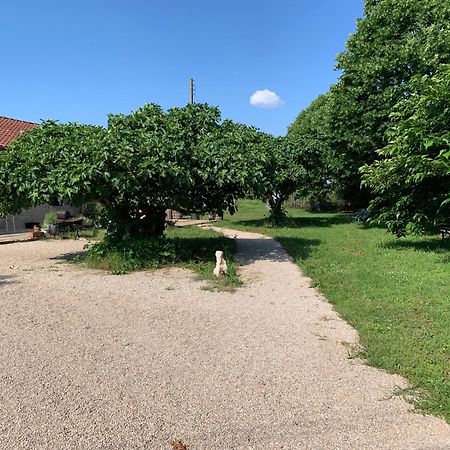 Gite La Longere Bleue Caylus Екстериор снимка