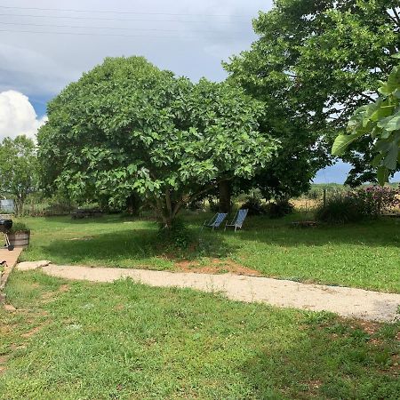 Gite La Longere Bleue Caylus Екстериор снимка